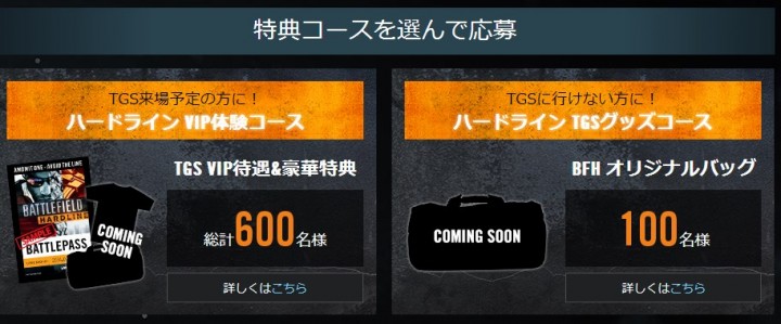 BFH:予約キャンペーンを開始、BFHグッズやTGSのVIP待遇パスが総計700名に