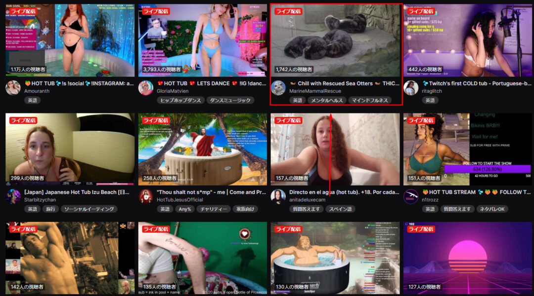 Twitchにてセクシーな 水着配信 が正式解禁 なぜかカワウソの配信が人気 Eaa Fps News イーエーエー いえぁ